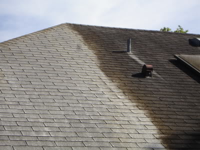 Roof Cleaning Companies in Denton TX